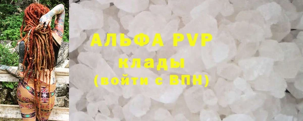 крисы Алексин