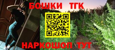 гашик Лесосибирск