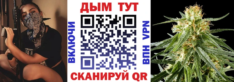 как найти наркотики  Камышин  Бошки марихуана THC 21% 