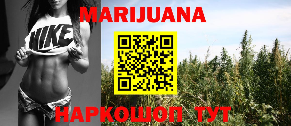 Бошки марихуана White Widow  Каннабис White Widow  Вход с VPN  Бошки Шишки план  Марихуана сатива  Камышин 